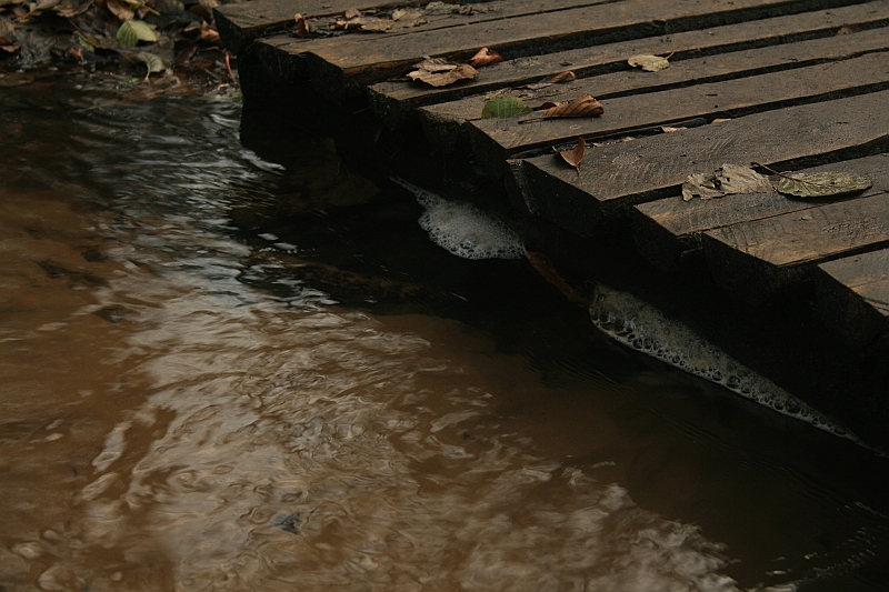 Rostoczek 11.2008 112